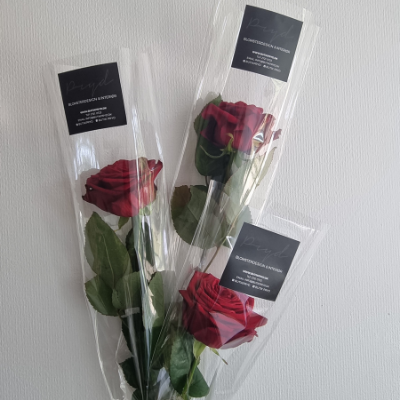 Enkelt rød rose i cellofan